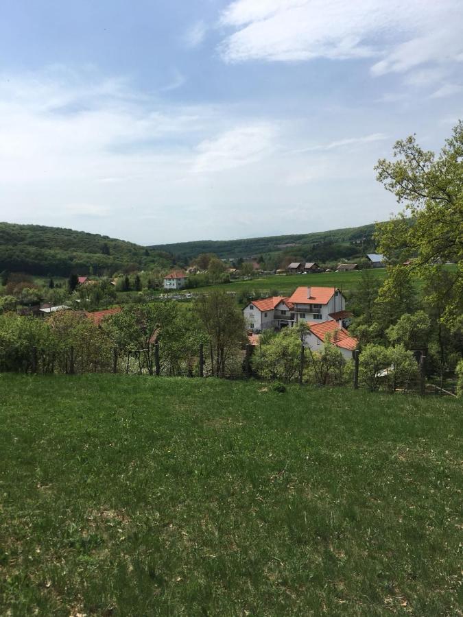 Casuta Cu Flori Hotel Vilcele  Bagian luar foto